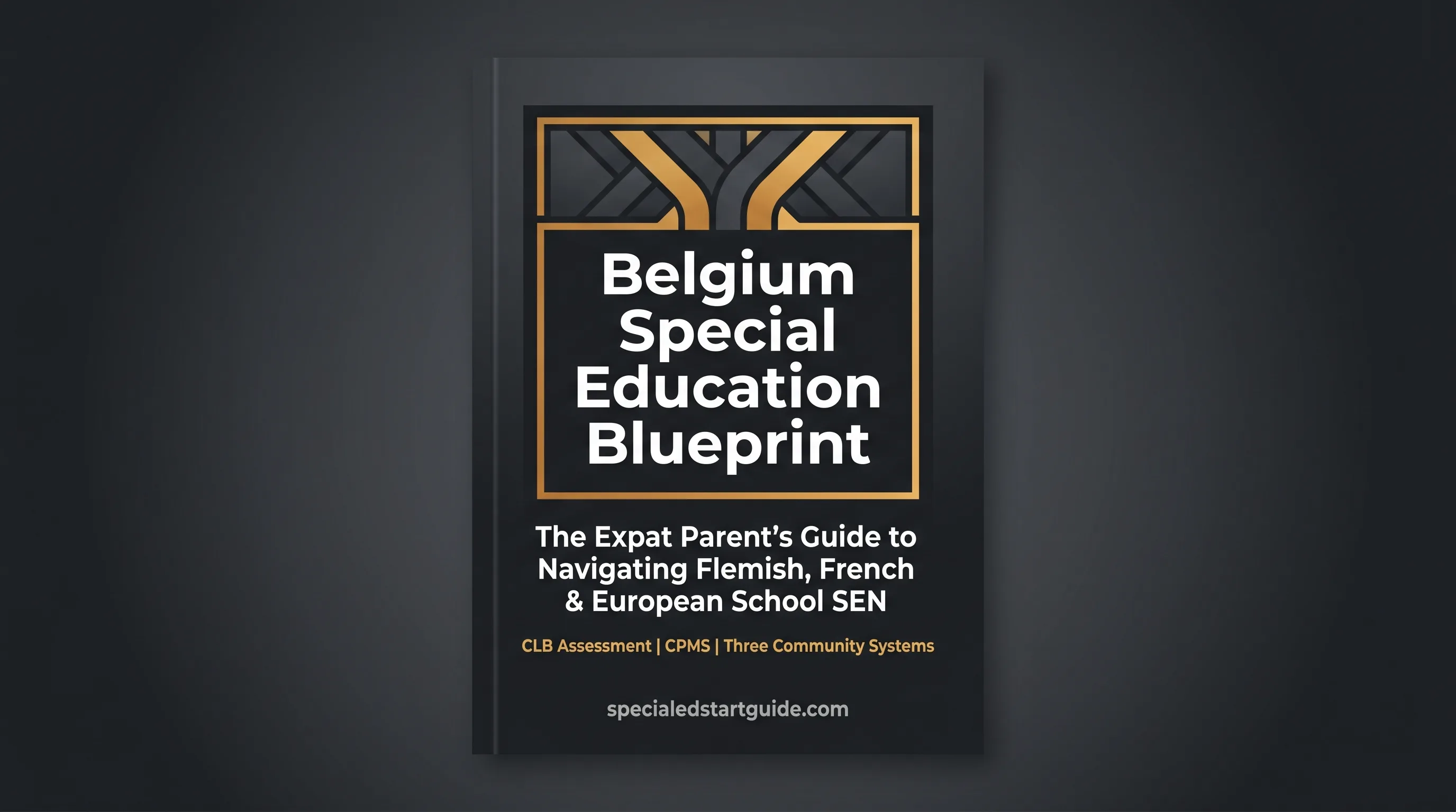 Belgium Special Education Blueprint — Decode Three Systems, One Meeting at a Time