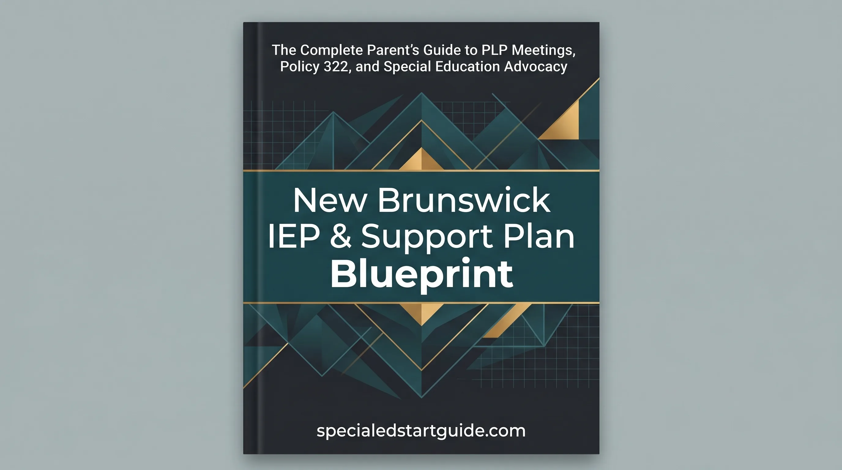 New Brunswick IEP & Support Plan Blueprint — Decode Policy 322, Navigate the PLP Process, Advocate for Your Child