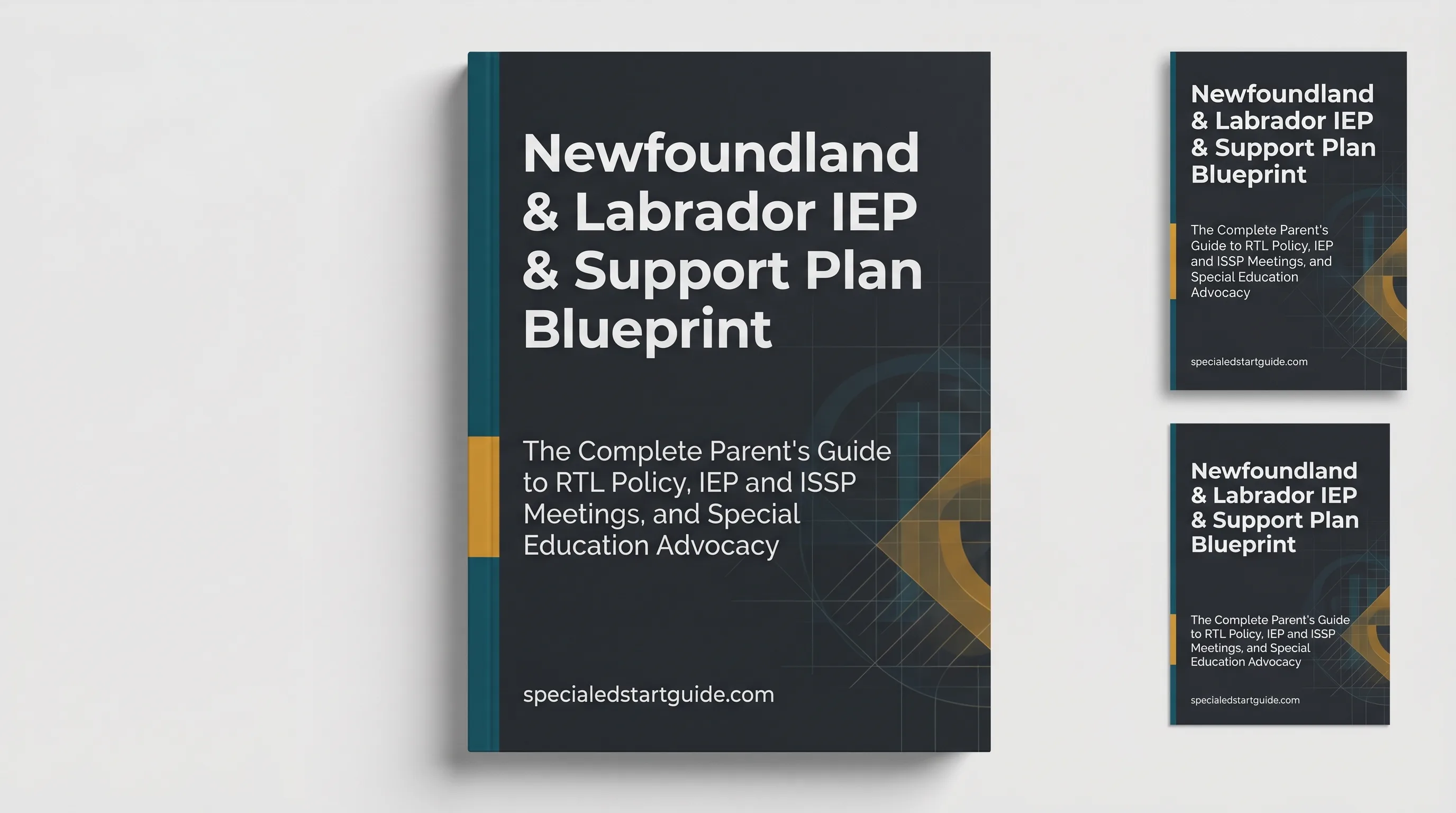 Newfoundland & Labrador IEP Blueprint — Navigate ISSPs & the RTL Policy
