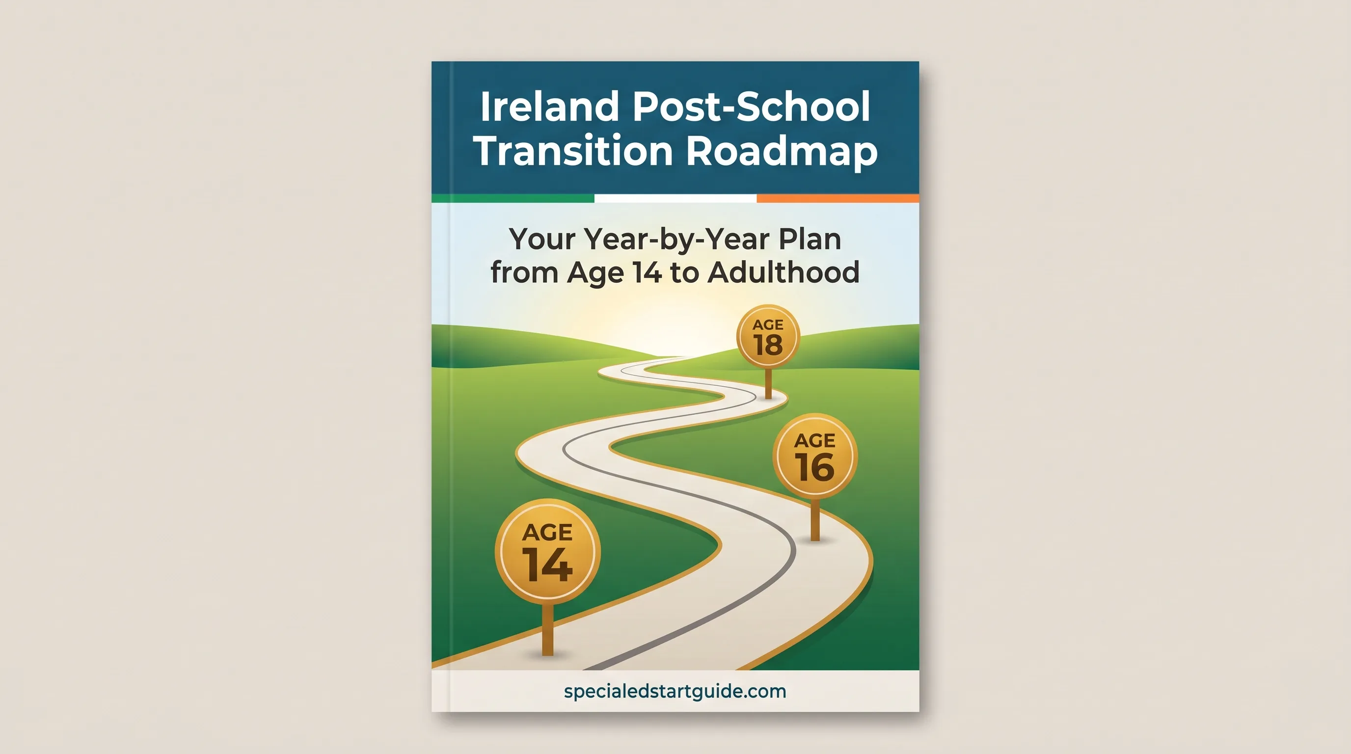 Ireland Post-School Transition Roadmap — Plan Before the Cliff Edge
