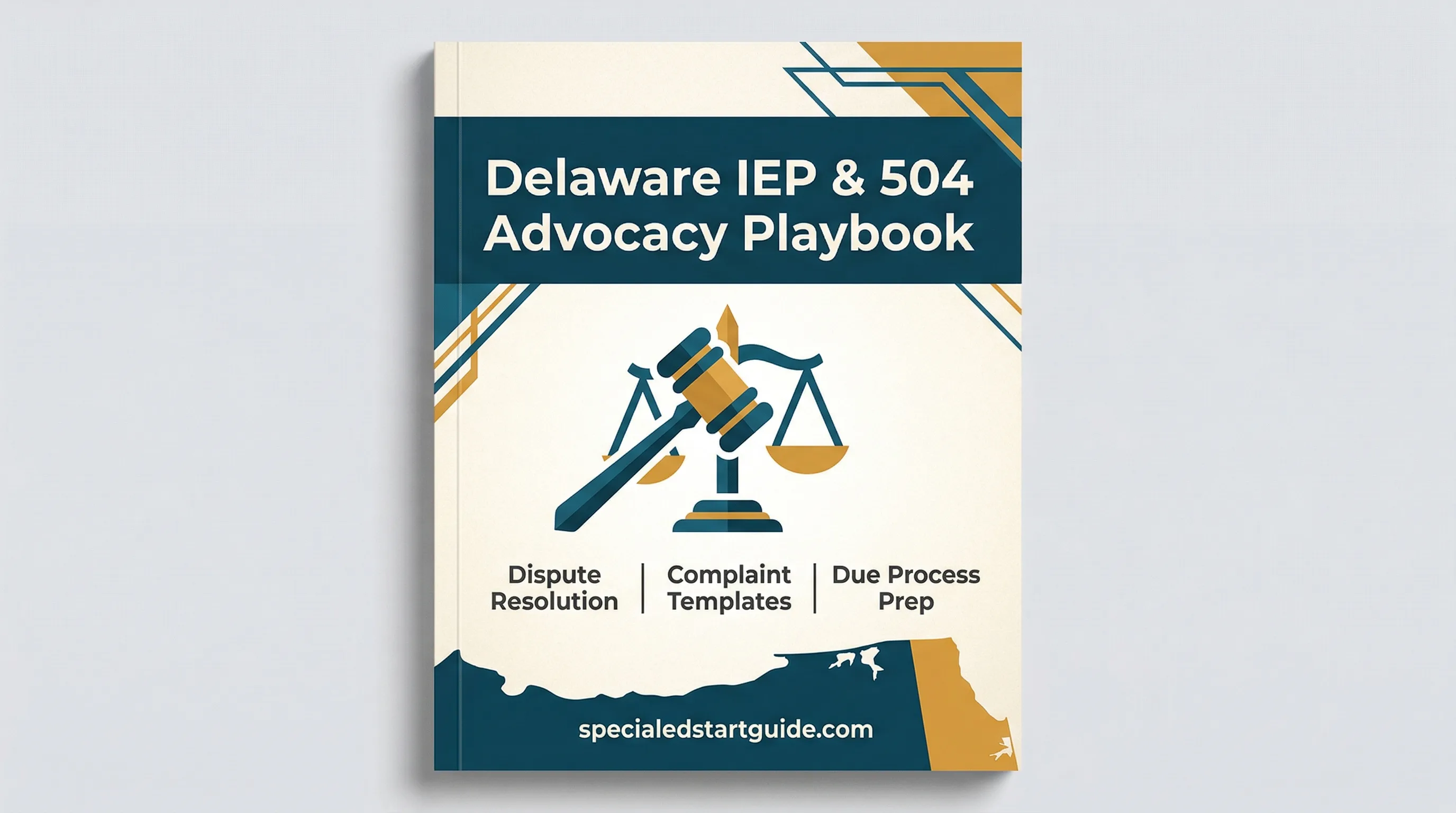 Delaware IEP & 504 Advocacy Playbook — DDOE Complaints & Charter Accountability