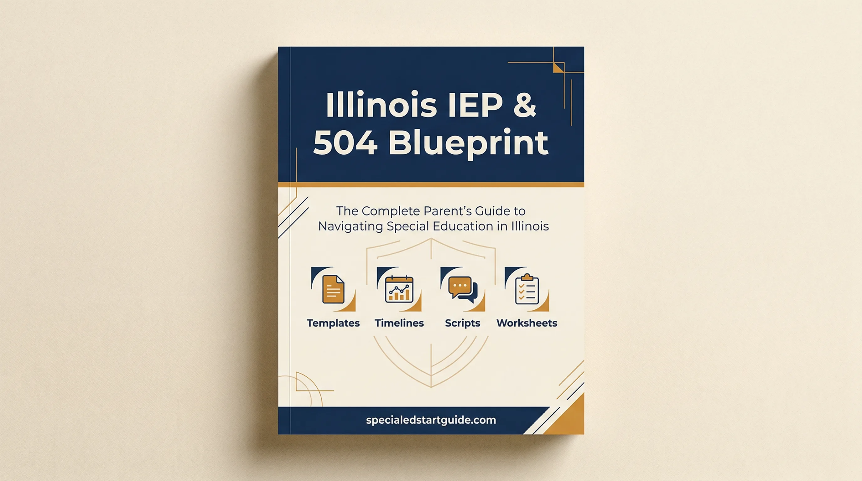 Illinois IEP & 504 Blueprint — Navigate CPS ODLSS and All 852 Districts