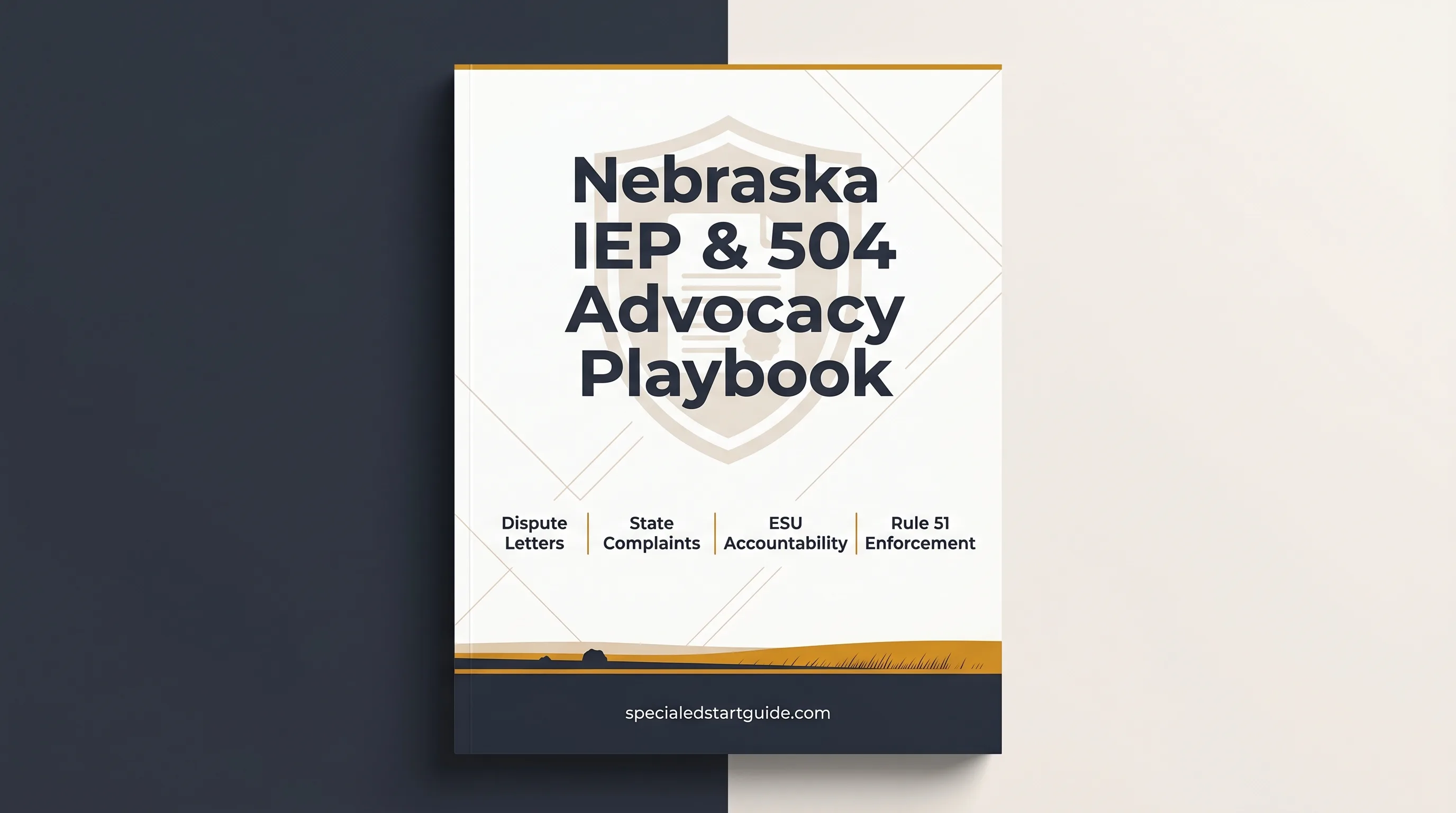 Nebraska IEP & 504 Advocacy Playbook — Rule 51 Letters & NDE Complaints